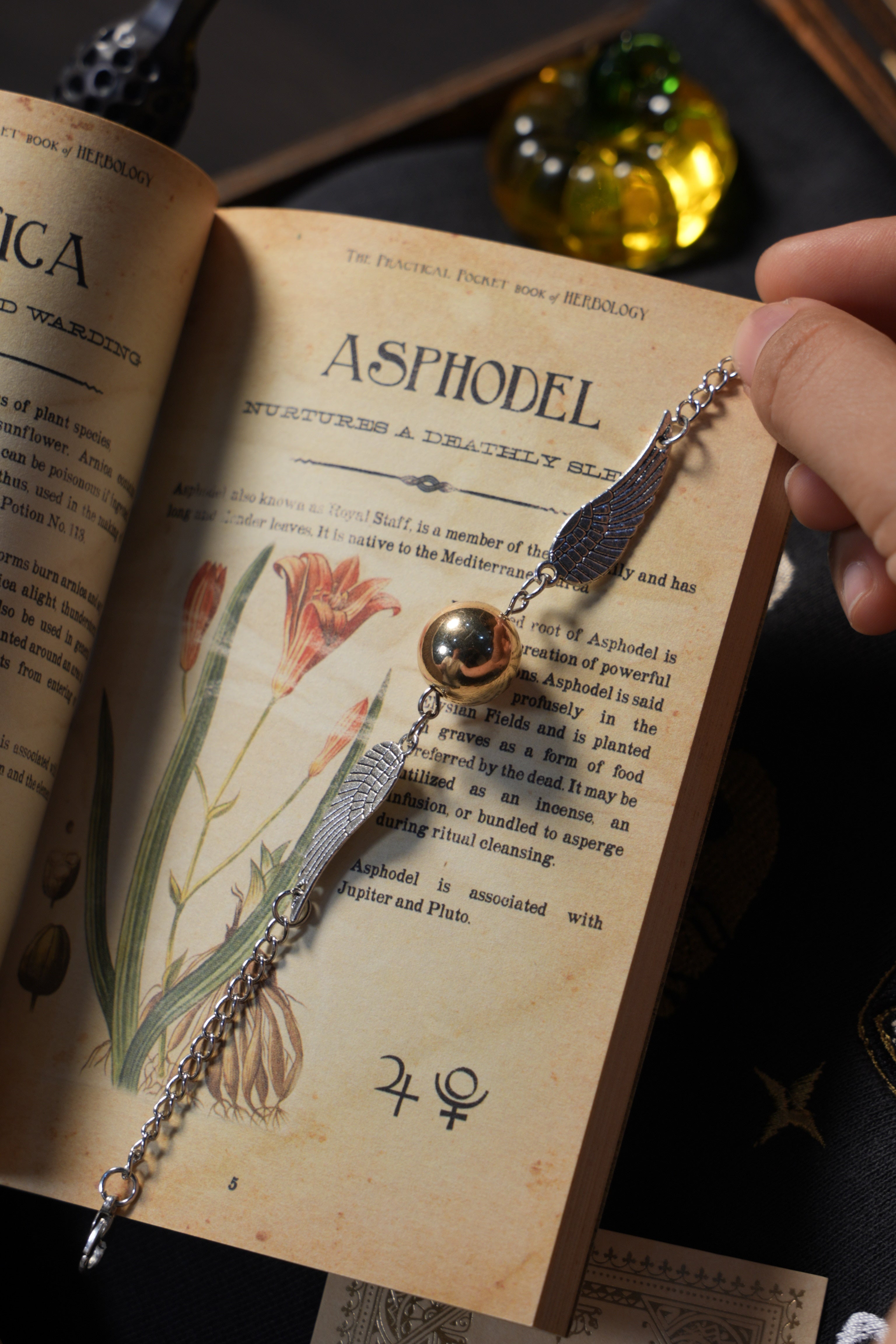 Accessories - Books of Magic