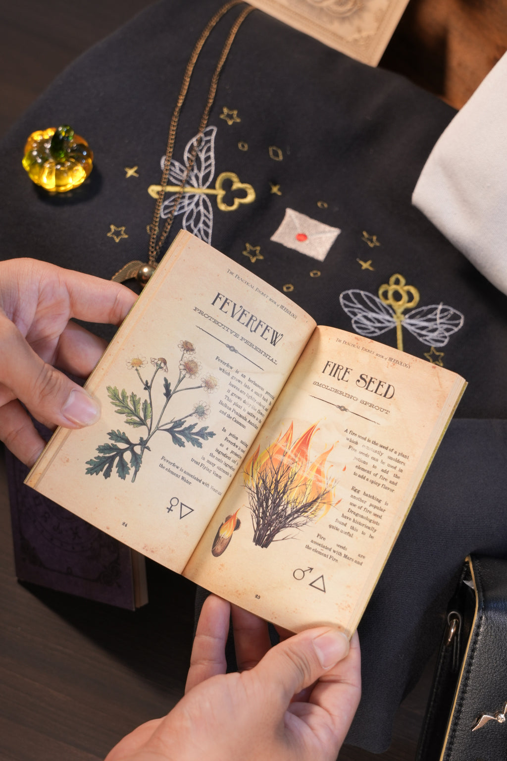 Accessories - Books of Magic