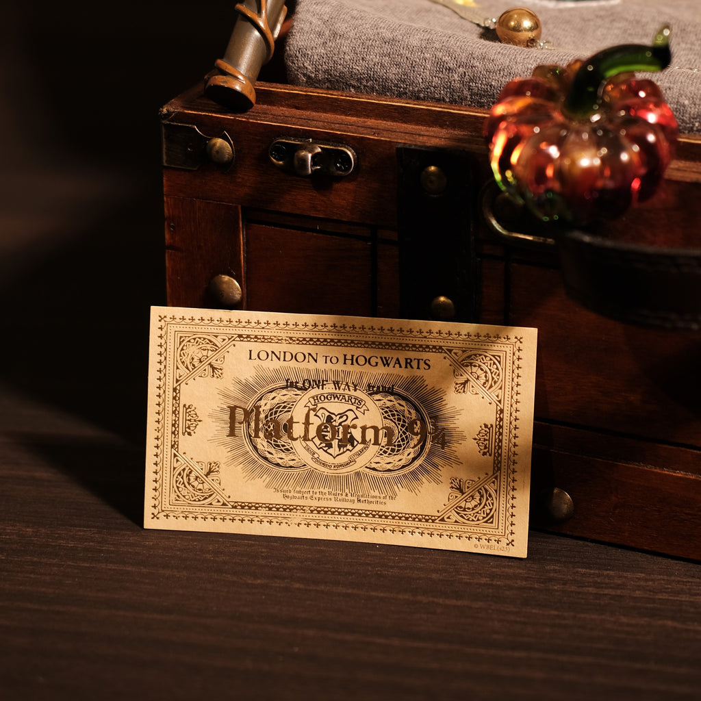 Magic Gift Set – Bird House 10 pieces (Gray Sweater + Wand + Glass Pumpkin + Mini Bag + Handbag + Spell Book))